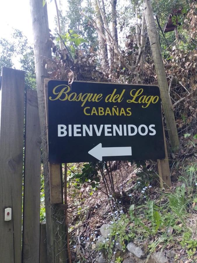 Bosque Del Lago Pucón Buitenkant foto