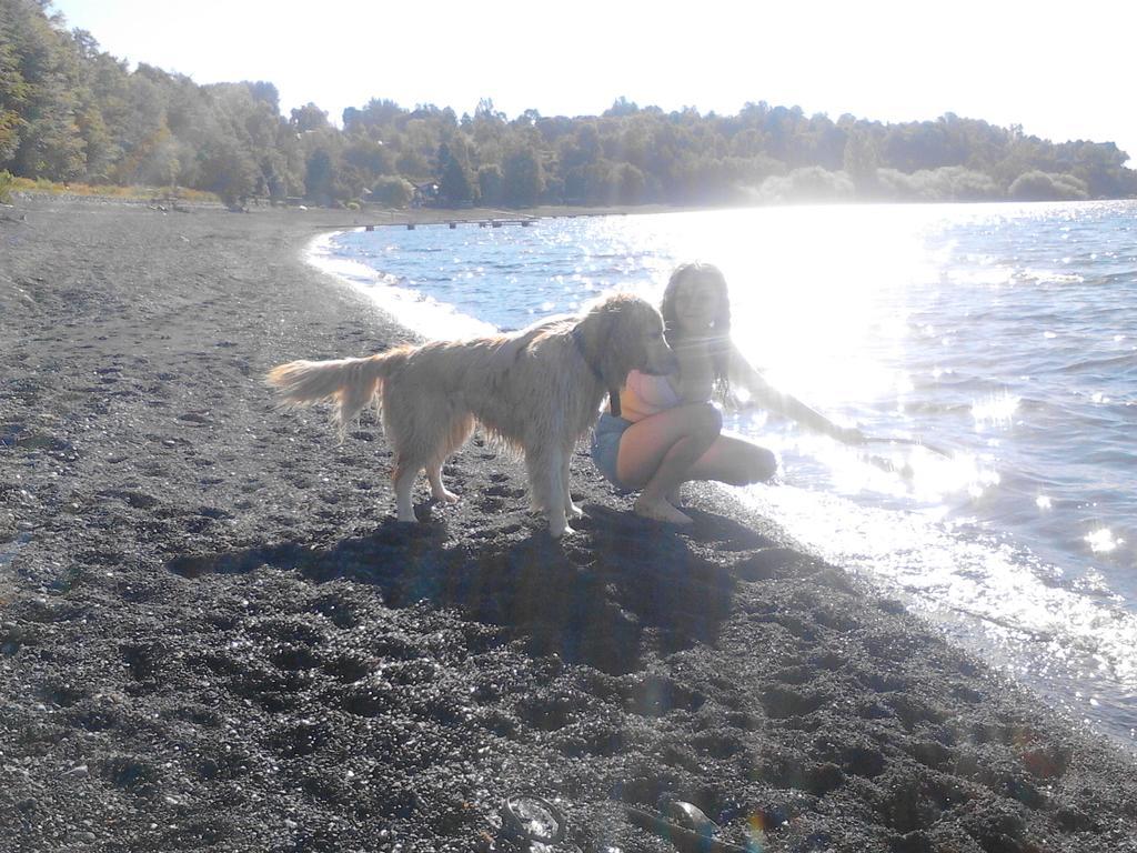 Bosque Del Lago Pucón Buitenkant foto