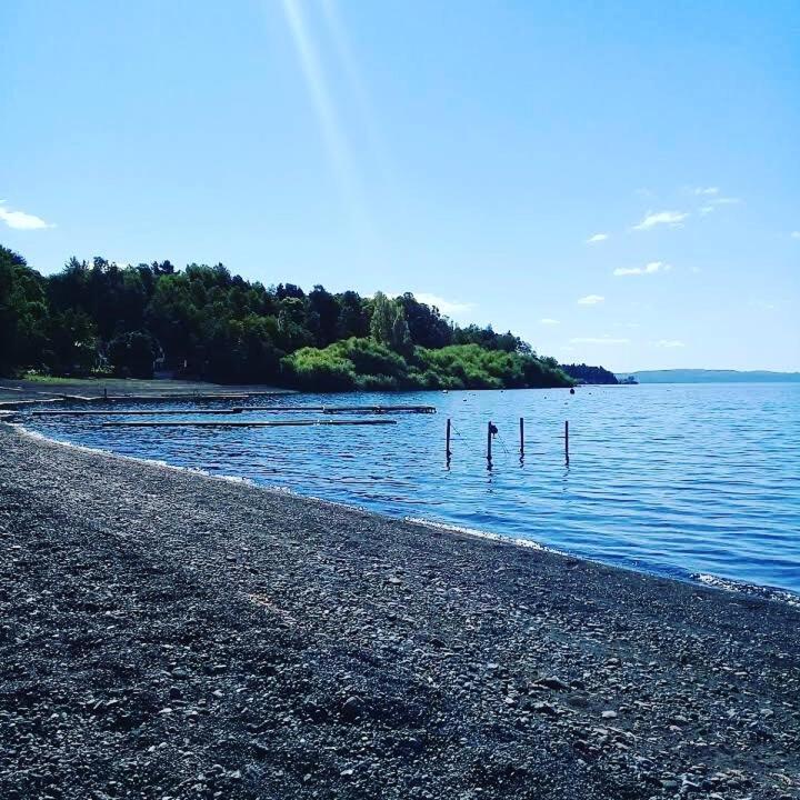 Bosque Del Lago Pucón Buitenkant foto